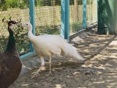 -水上乐园·欢乐世界