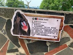 -西安秦岭野生动物园