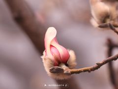 -东华门大街小区