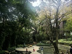 -香港大学