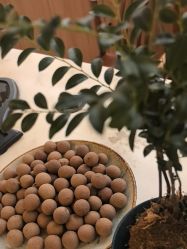 -御品•瑶浴灸疗SPA