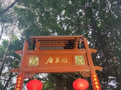 -侨美·唐荔园·40年地道粤菜