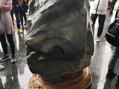 -青藏高原自然博物馆