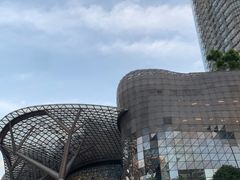-爱雍·乌节
