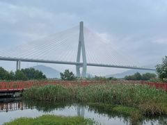 -芒洲湿地公园