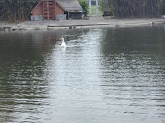 -同济大学(嘉定校区)
