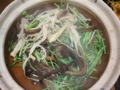 -十二舍·湯物素煮(江泰潤政店)