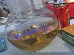 -墨脱石锅椰子鸡•香草鸭•东山羊(大东海店)