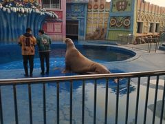 -华夏文旅海洋公园