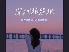 -宝安西湾红树林湿地公园