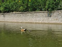 -南翠屏公园