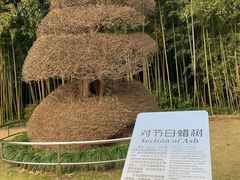 -苏州河梦清园环保主题公园