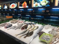 -国惠大酒楼(宝龙店)
