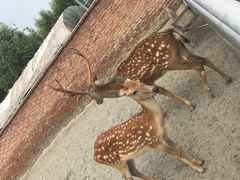-晶宝温泉农庄