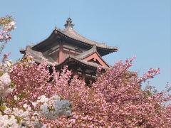 -西安青龙寺遗址景区