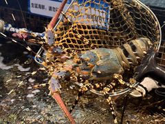 -海鲜e族(马王堆店)