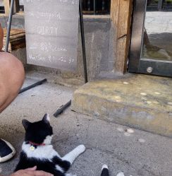 -河南中医药大学第一附属医院-医疗整形