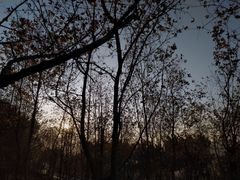 -广州市石门国家森林公园