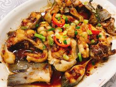 豆酱蒸钳鱼-粤·向群饭店(龙津东路总店)