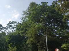 -火炉山森林公园