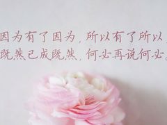 -同堂韩国料理炭火烤肉(彩虹广场店)