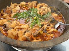 -都江堰石锅鱼