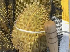 -诚实果品批发行(三星路店)