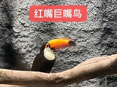 -武汉动物园