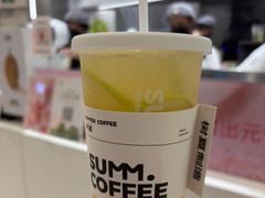 生榨滇橄榄油柑-树夏(来福士店)