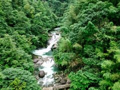 -大鄣山卧龙谷景区