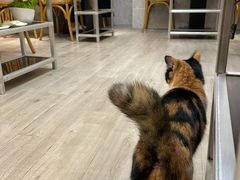 -吉友粥底火锅(方斜路店)