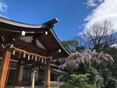 -热田神宫