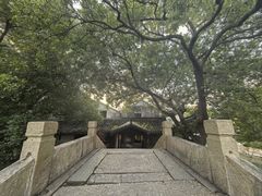 -黎里古镇