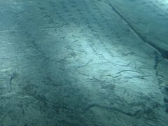 -白鹤梁水下博物馆