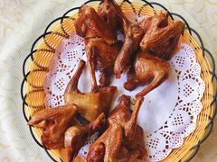 -百利鸽王(紫薇路店)