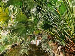 -忆江南·生态餐饮宴会酒店