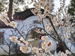 -无锡梅园公园
