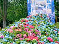 -武汉园博园(武汉自然博物馆)