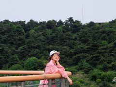 -王莽岭风景区