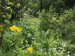 -长春市南湖公园