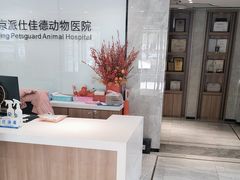 -北京派仕佳德动物医院·超导核磁·CT·神经科·骨科·内外科·急重症管理中心