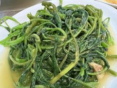 -兴隆槟榔园休闲农庄