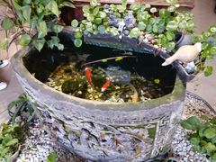 -土桥老街黄鸭子(清淳家园店)