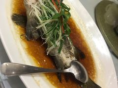 -阿锋鲍鱼酒家美食汇(华安店)