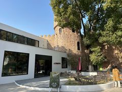 -J Create城市露营咖啡·简餐·宠物(上海动物园店)