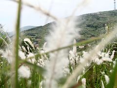 -东极岛景区