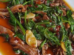 -月圆霖特色农家乐
