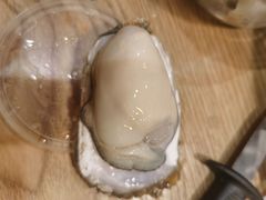 -爱蚝屋