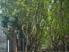 -南宫五洲植物乐园