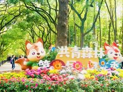 -上海共青森林公园